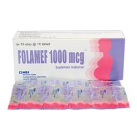 FOLAMEF 1000 FOLAMEF 1000